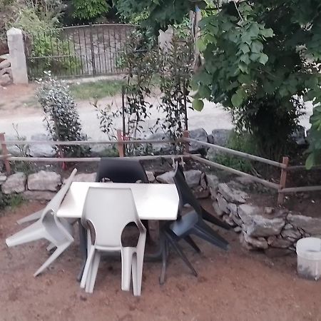 Maison De Caractere Au Coeur De La Corse Rurale Calacuccia Buitenkant foto